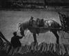 ALFRED STIEGLITZ (1864-1946) The Terminal * In the New York Central Yards * A Snapshot--Paris, from Camera Work Number 36 and Number 40